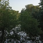 Надія Позняк