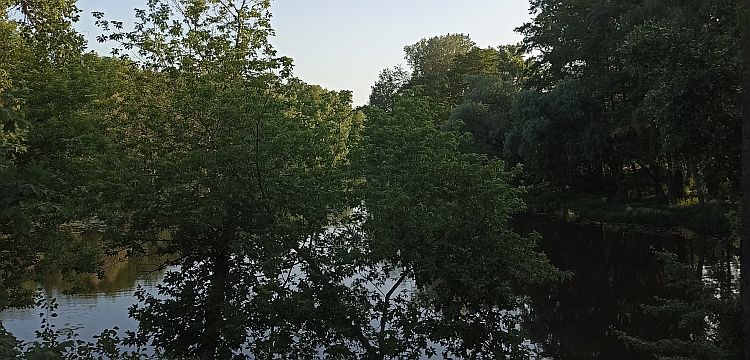 Надія Позняк