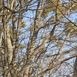 Хвилина мовчання